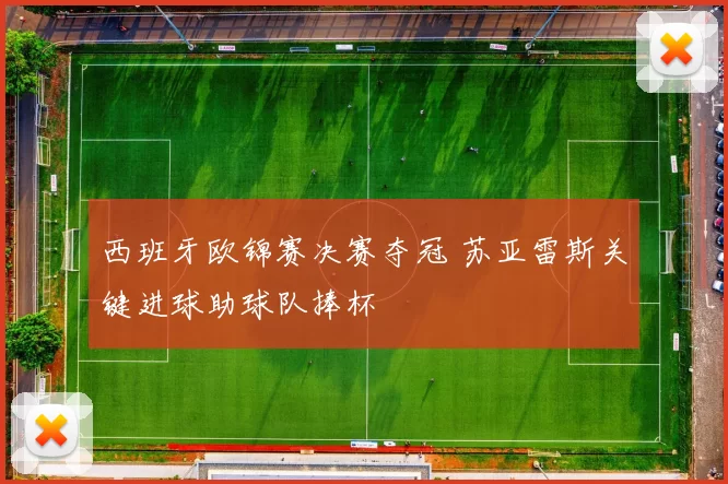西班牙欧锦赛决赛夺冠 苏亚雷斯关键进球助球队捧杯