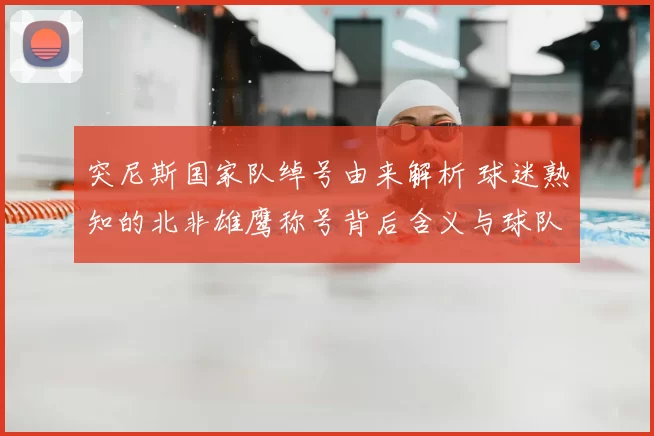 突尼斯国家队绰号由来解析 球迷熟知的北非雄鹰称号背后含义与球队形象