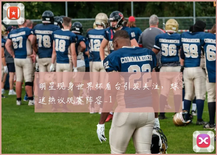明星现身世界杯看台引发关注，球迷热议观赛阵容_1