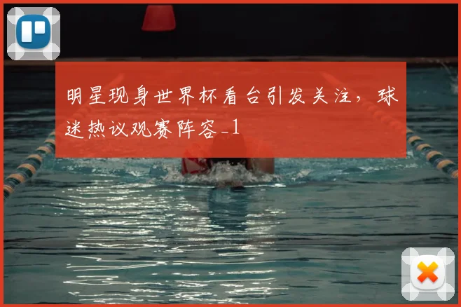 明星现身世界杯看台引发关注，球迷热议观赛阵容_1